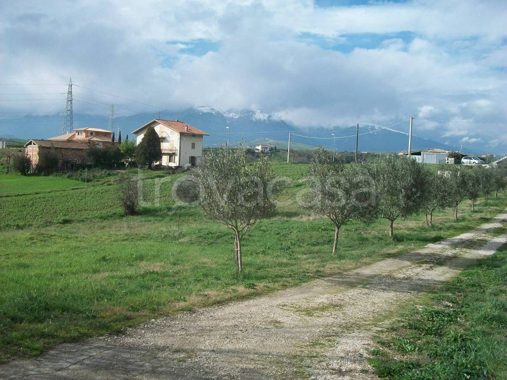 immagine annuncio 1 di 7