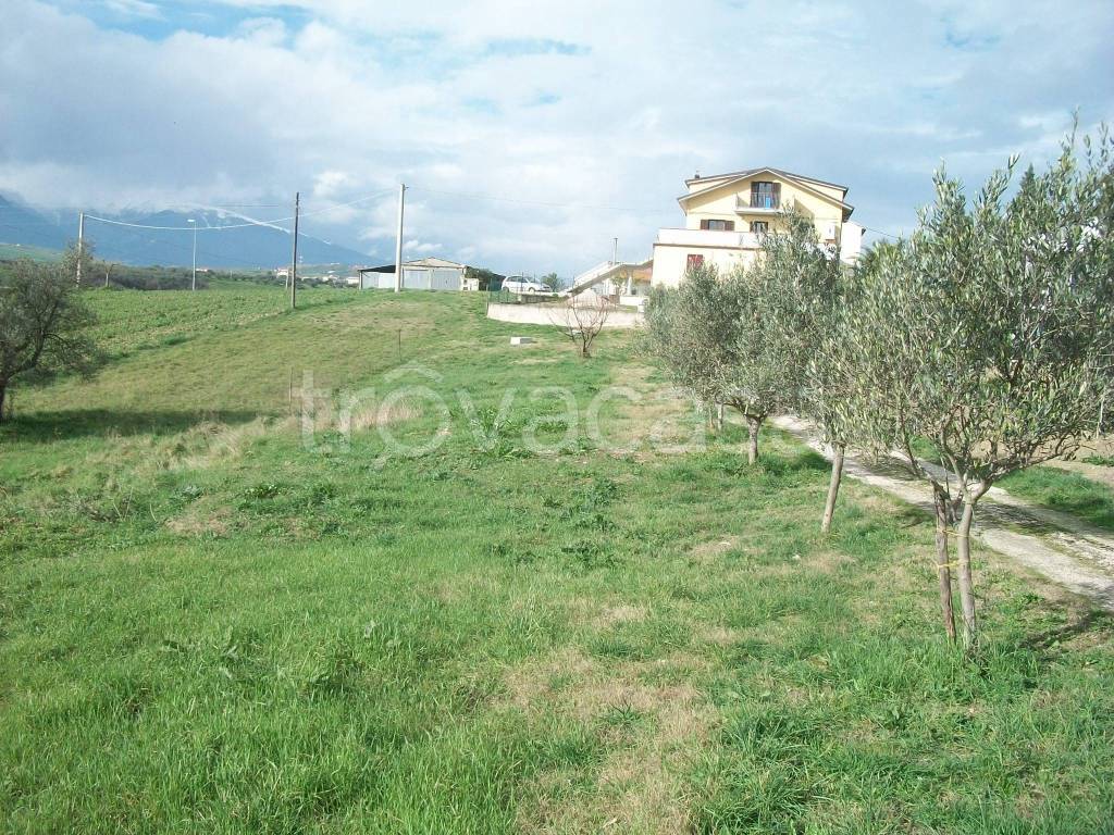 immagine annuncio 2 di 7