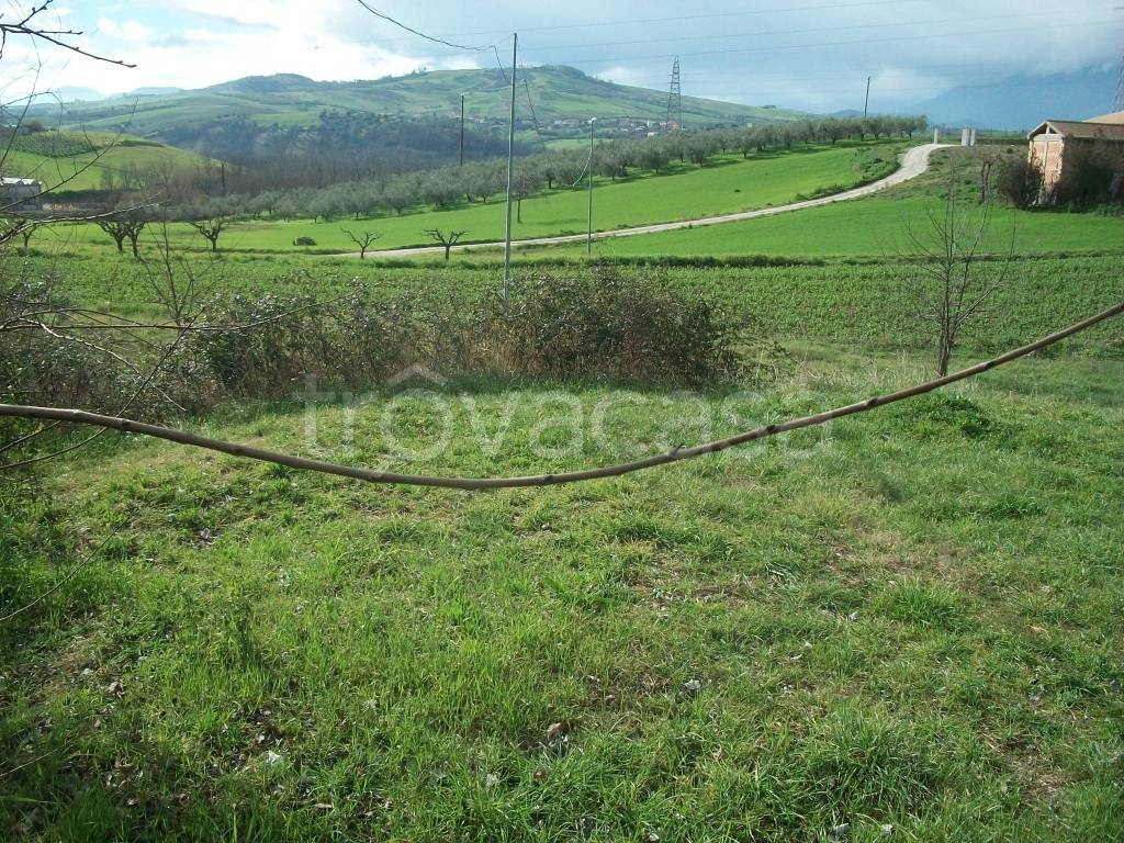 immagine annuncio 3 di 7