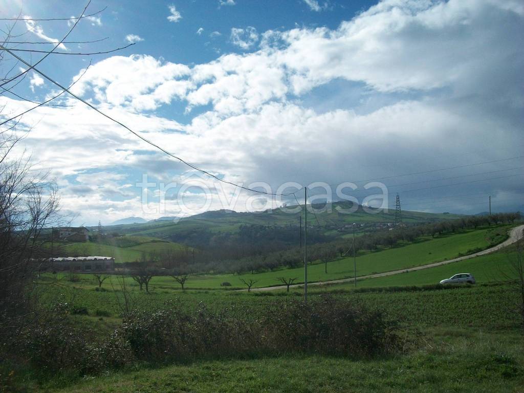 immagine annuncio 5 di 7