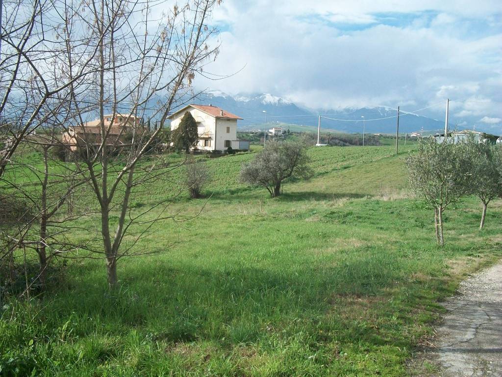 immagine annuncio 6 di 7