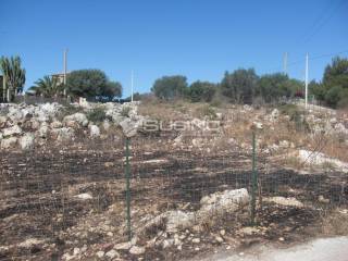 Terreno agricolo in vendita a noto traversa testa mozze