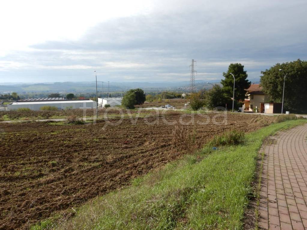 immagine annuncio 1 di 6