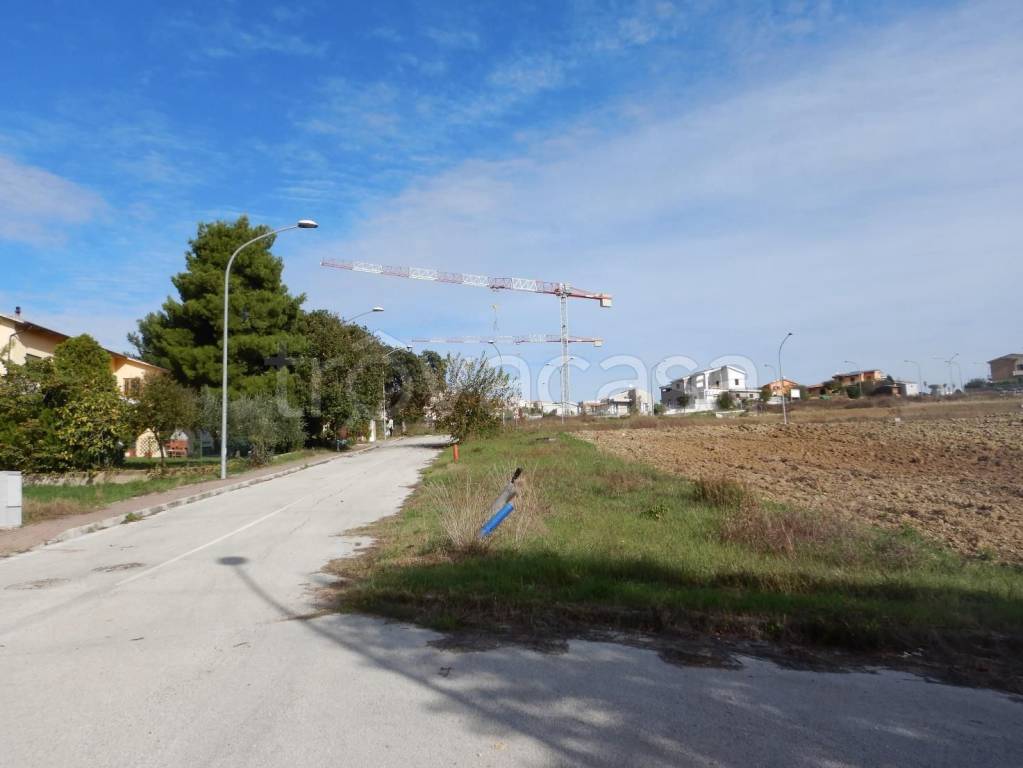 immagine annuncio 3 di 6