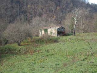 Terreno agricolo in vendita a carrodano via del soccorso