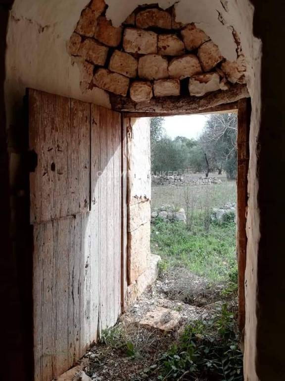 immagine annuncio 2 di 7