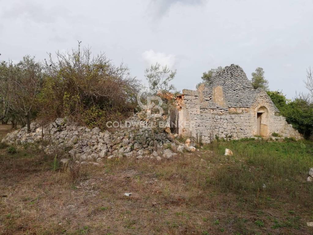 immagine annuncio 5 di 7