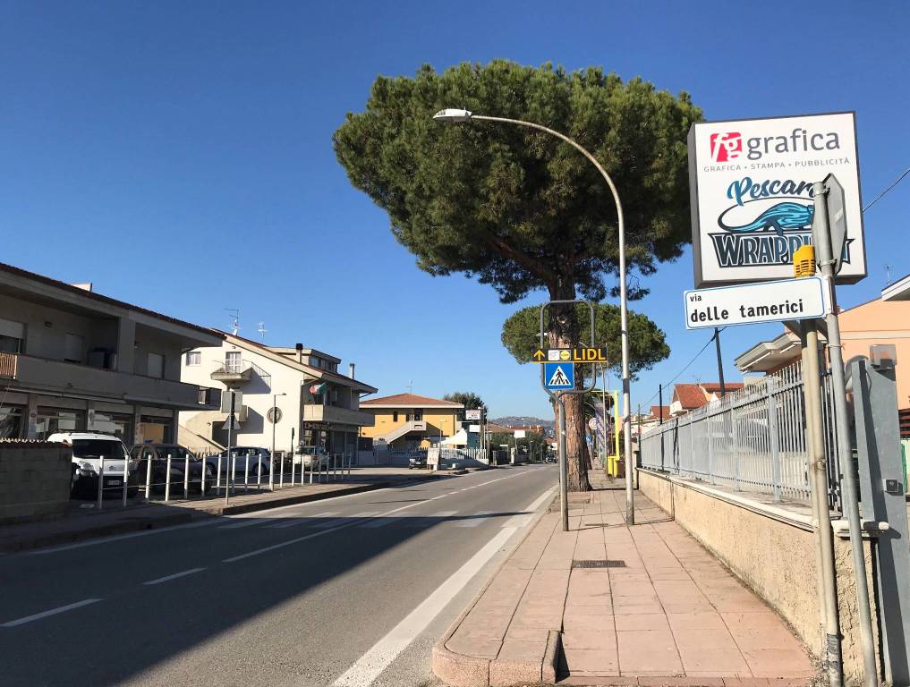 immagine annuncio 5 di 6