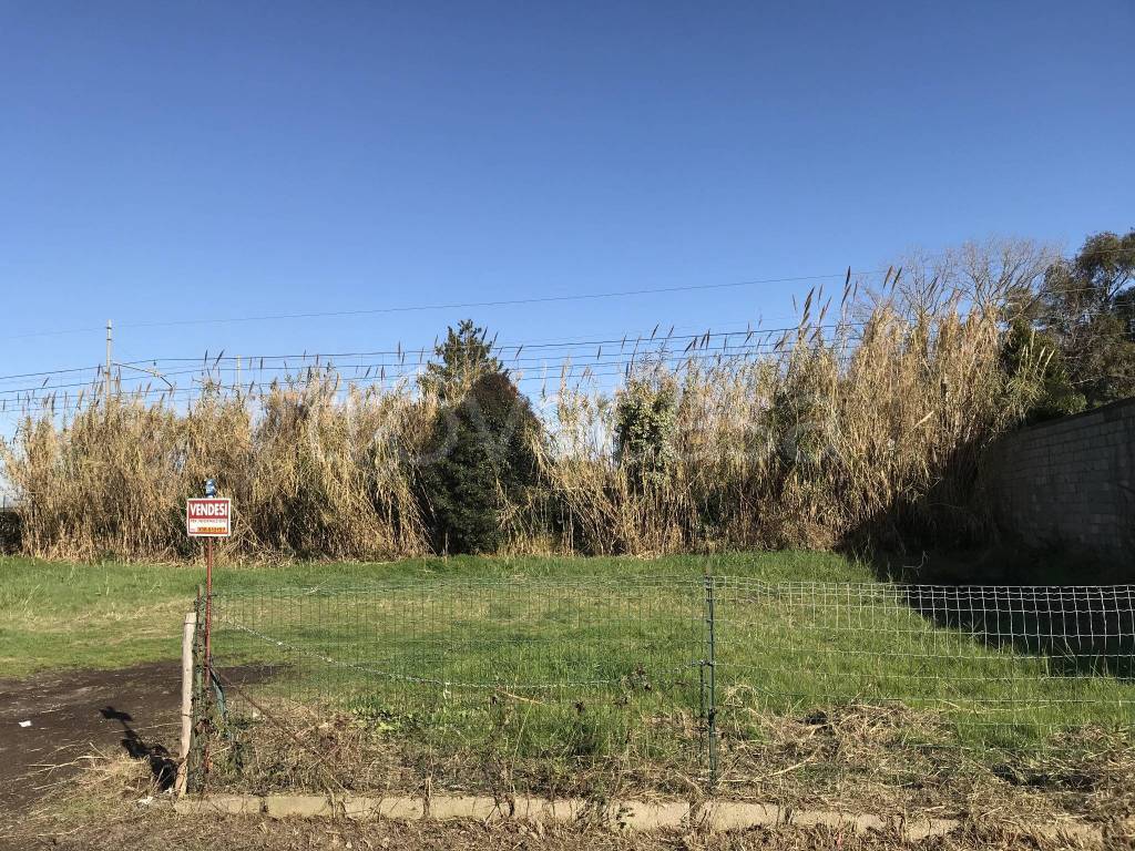 immagine annuncio 4 di 6