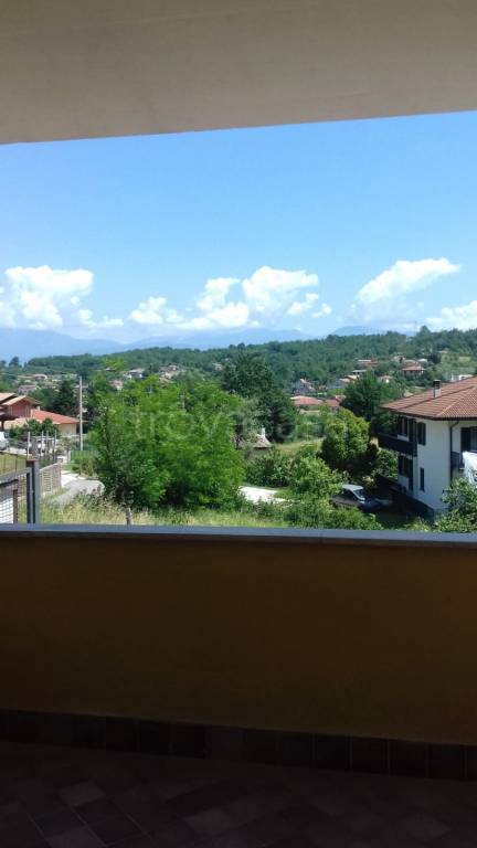 immagine annuncio 4 di 13