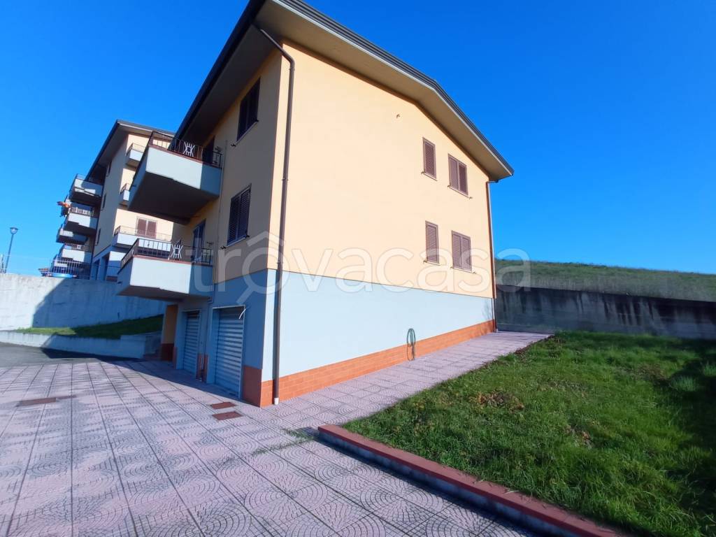 immagine annuncio 4 di 7