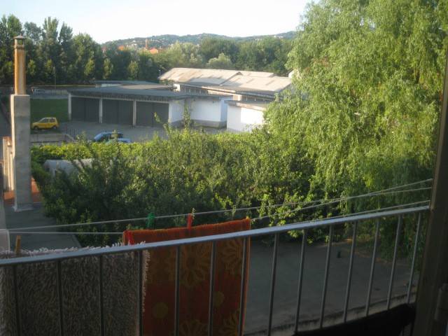 immagine annuncio 9 di 14