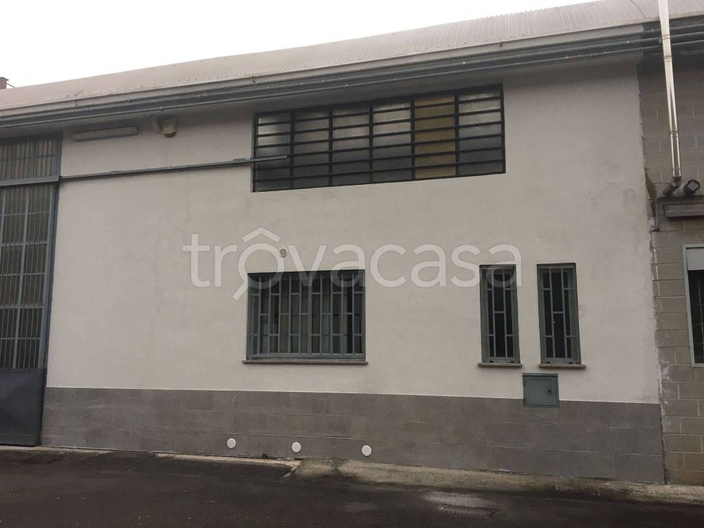 immagine annuncio 11 di 15
