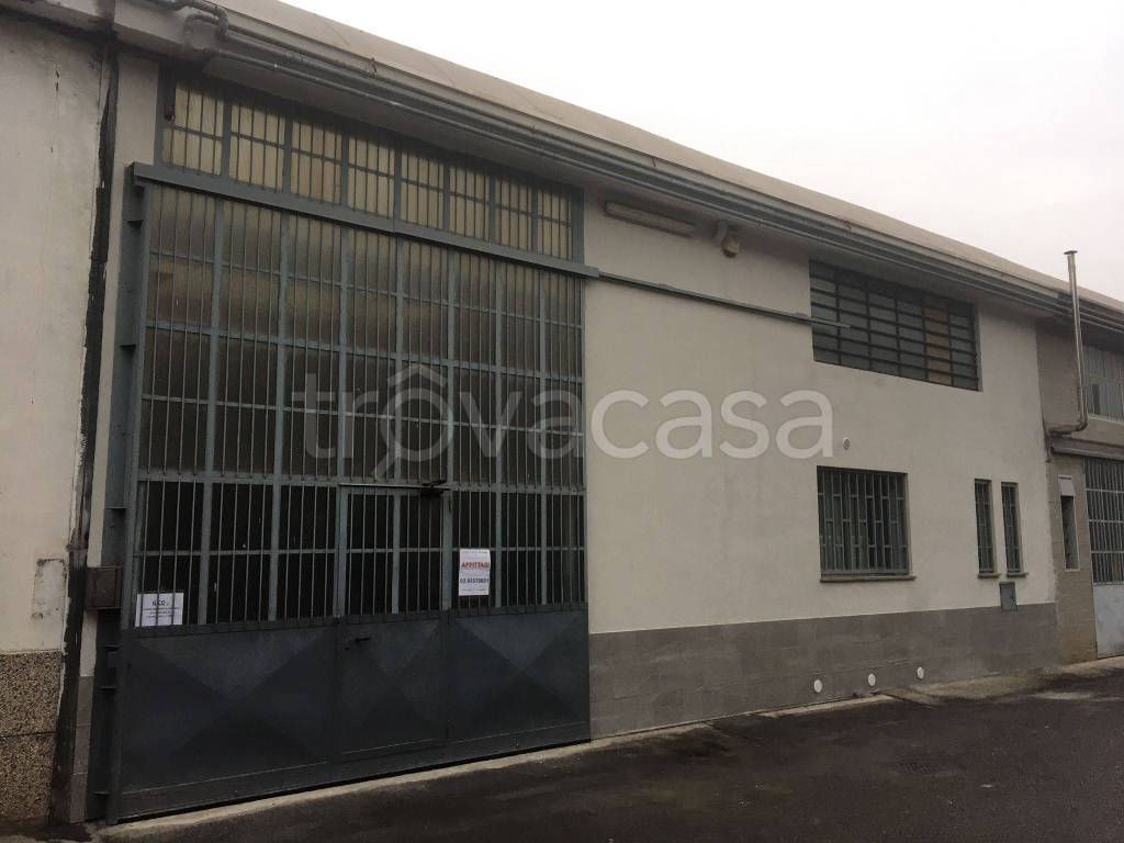 immagine annuncio 12 di 15