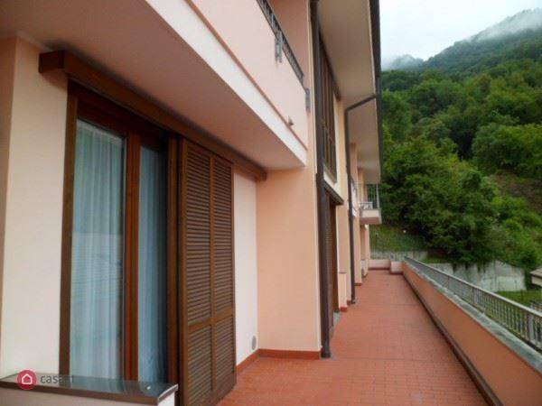 immagine annuncio 3 di 9