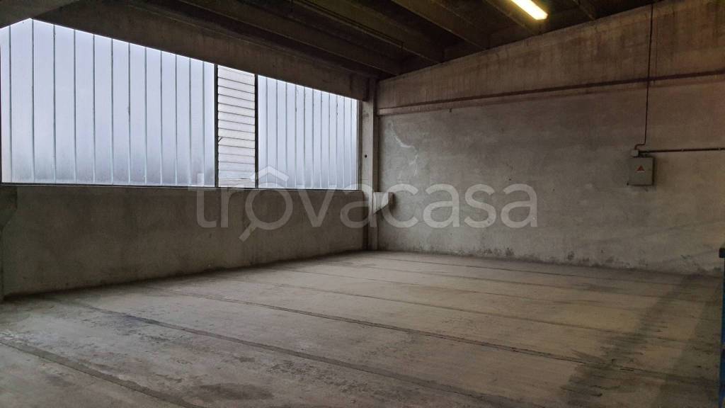 immagine annuncio 3 di 7