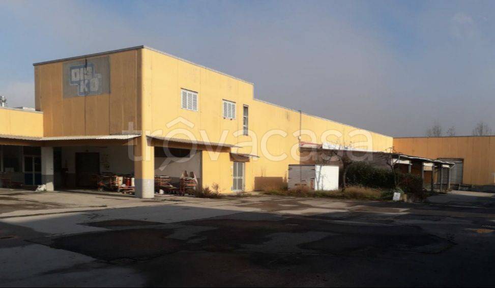 Capannone Industriale in in vendita da privato a San Giovanni Valdarno via Carlo Emilio Gadda, 19