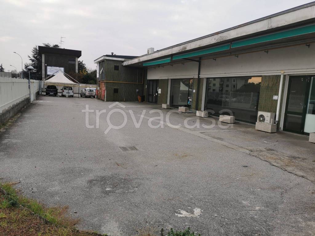 immagine annuncio 12 di 13