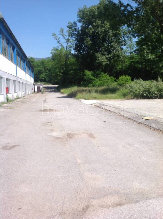 Capannone Industriale in in vendita da privato a Capannori via delle Sane Vecchie, 128