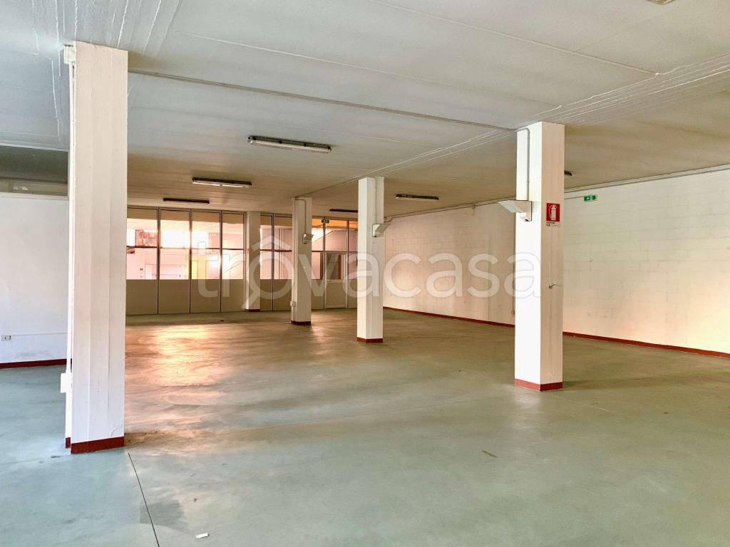 immagine annuncio 2 di 7