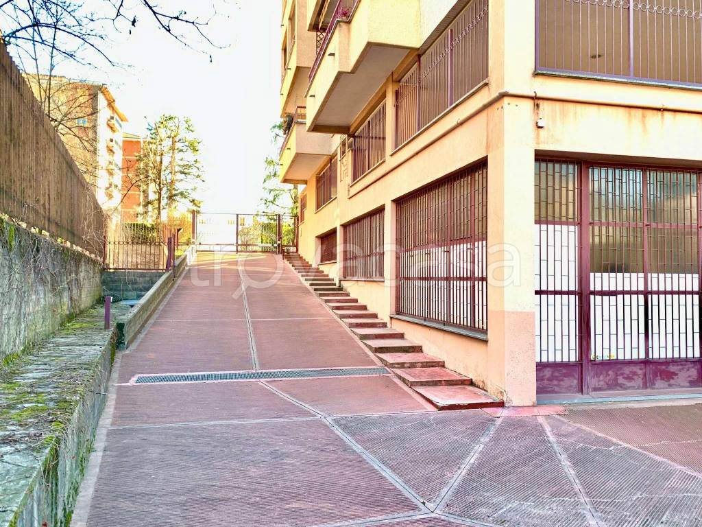 immagine annuncio 5 di 7