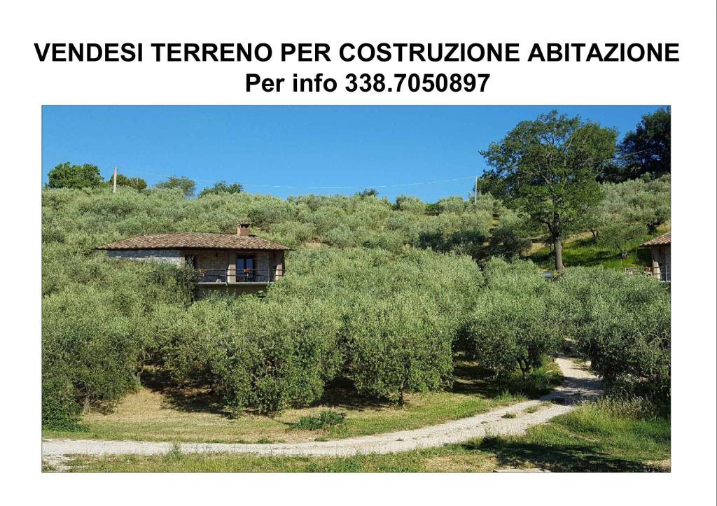 Terreno Residenziale in vendita ad Assisi frazione Rocca Sant'Angelo