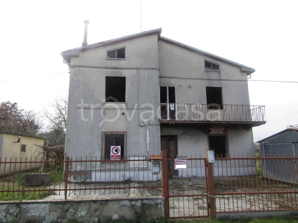 immagine annuncio 2 di 6