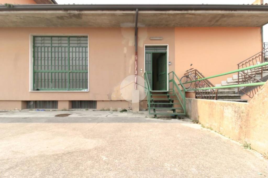 immagine annuncio 11 di 14