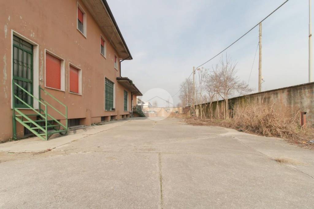 immagine annuncio 12 di 14