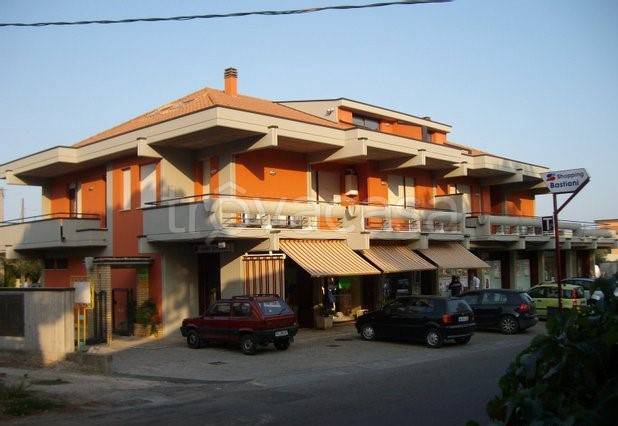 immagine annuncio 7 di 13