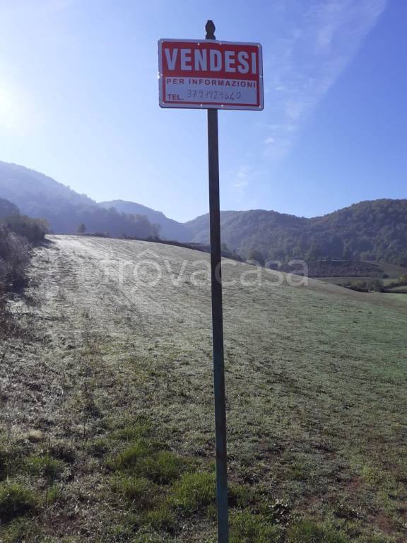 Terreno Agricolo in vendita ad Artena via Santa Maria, Snc