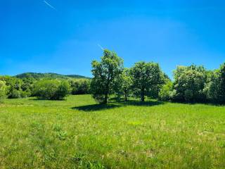 Terreno agricolo in vendita a trieste 