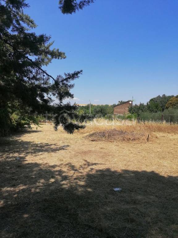 Terreno Agricolo in affitto a Roma via Castelpizzuto, 45