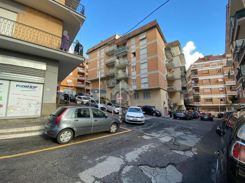 immagine annuncio 4 di 14