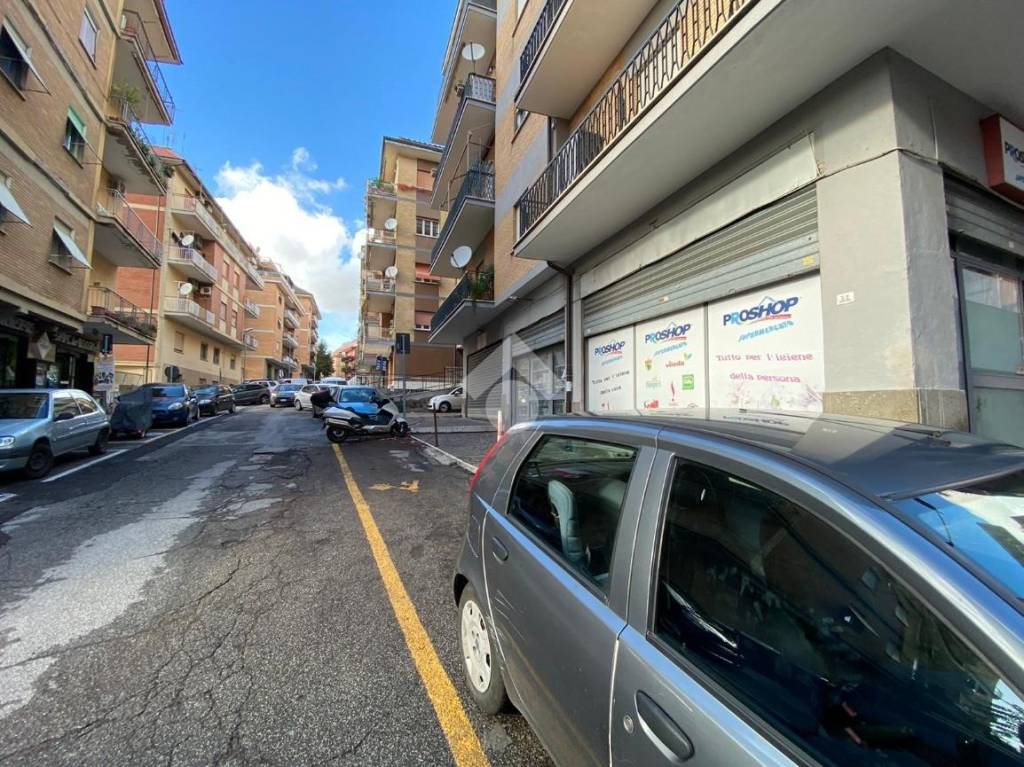 immagine annuncio 5 di 14