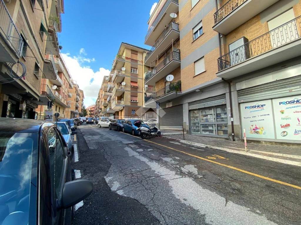 immagine annuncio 10 di 14