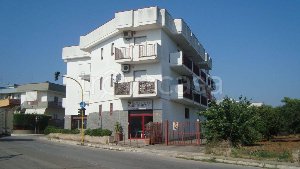 Appartamento in in vendita da privato a Bitritto via Giuseppe Saragat, 5