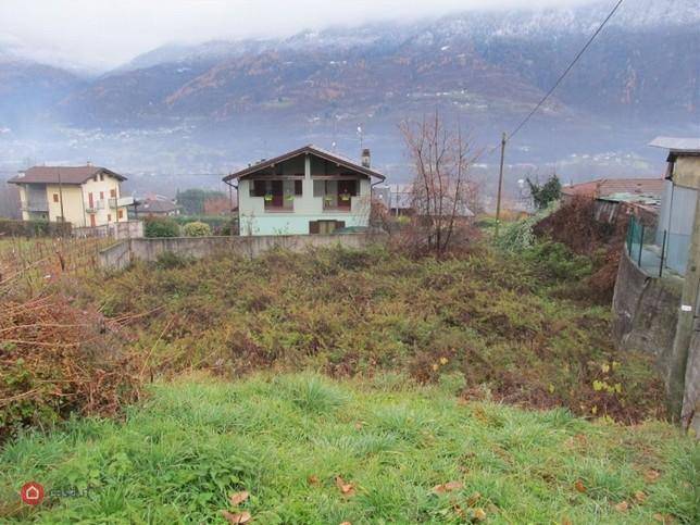 immagine annuncio 4 di 7