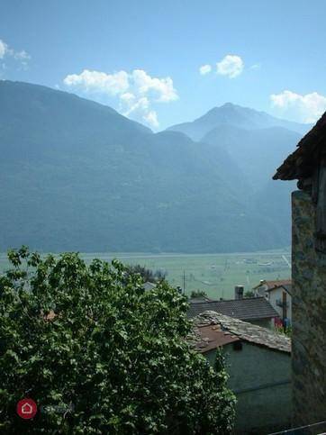 immagine annuncio 10 di 14