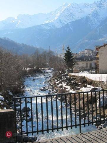immagine annuncio 12 di 14