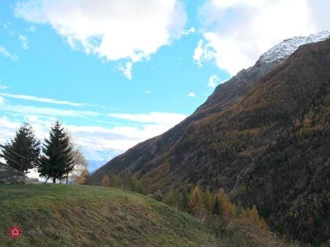 immagine annuncio 4 di 13