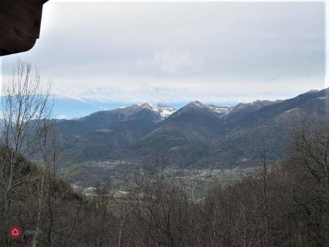 immagine annuncio 10 di 12