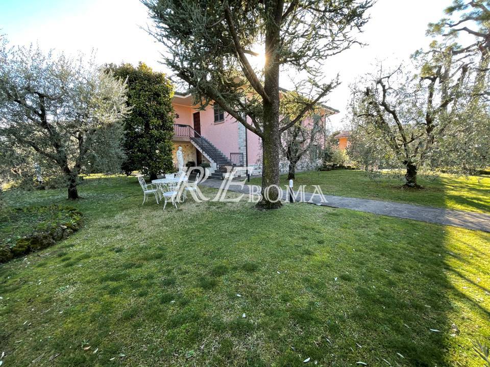 immagine annuncio 6 di 7