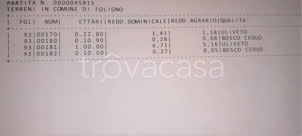 immagine annuncio 2 di 4