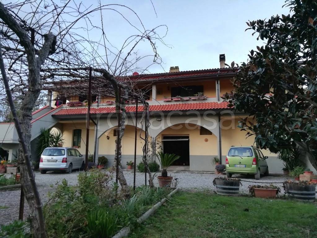 immagine annuncio 2 di 12