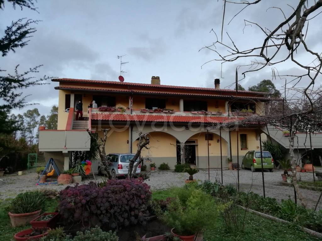 immagine annuncio 4 di 12