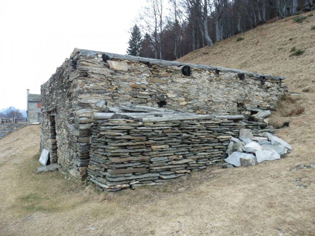 immagine annuncio 2 di 7