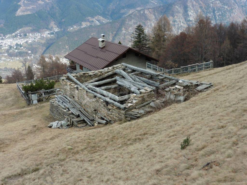 immagine annuncio 4 di 7