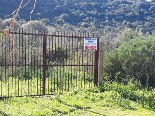 Terreno agricolo in vendita a tortolì strada statale orientale sarda