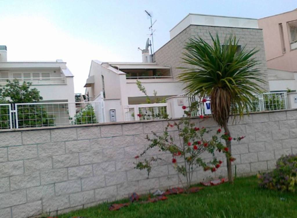 immagine annuncio 1 di 14